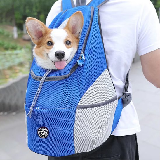 Sac à dos pour chien | Respirant & Sécurisé