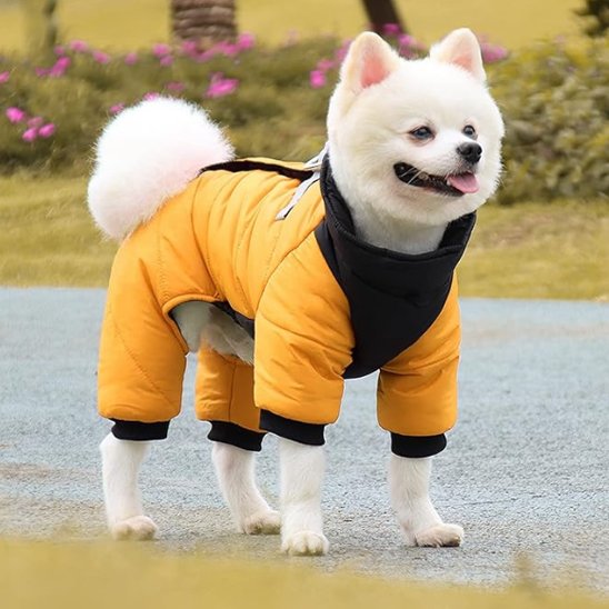Manteau chien imperméable 4 pattes | Spitz Winter