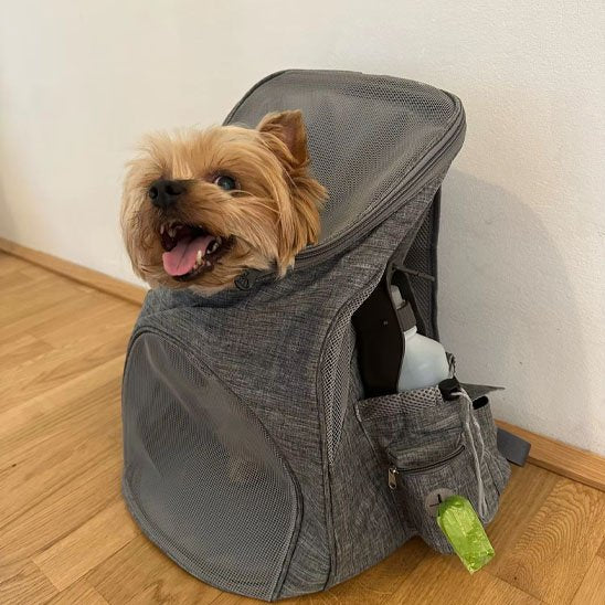 Sac à dos pour chien | Transport Aventure