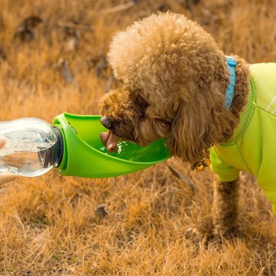 Gourde chien | Portable Anti-fuites