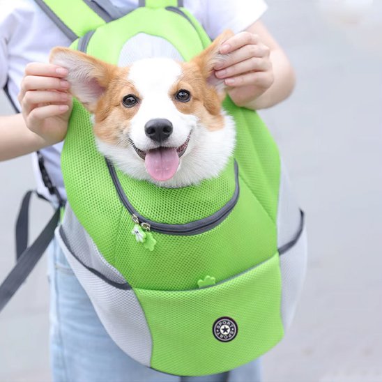 Sac à dos pour chien | Respirant & Sécurisé