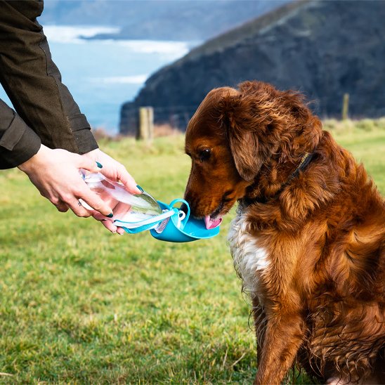 Gourde chien | Portable Anti-fuites