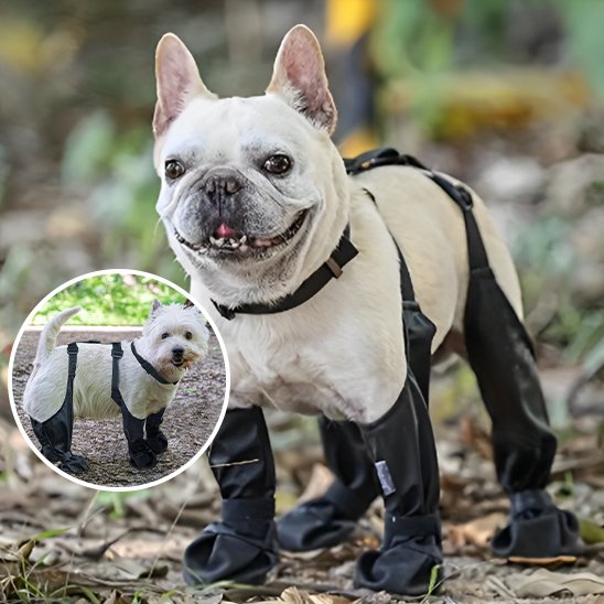Bottes pour chien | Imperméables