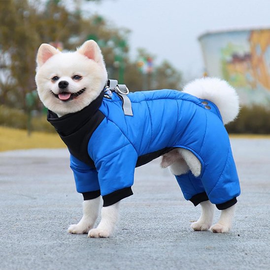 Manteau chien imperméable 4 pattes | Spitz Winter