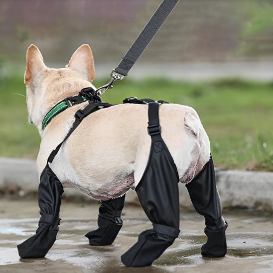 Bottes pour chien | Imperméables