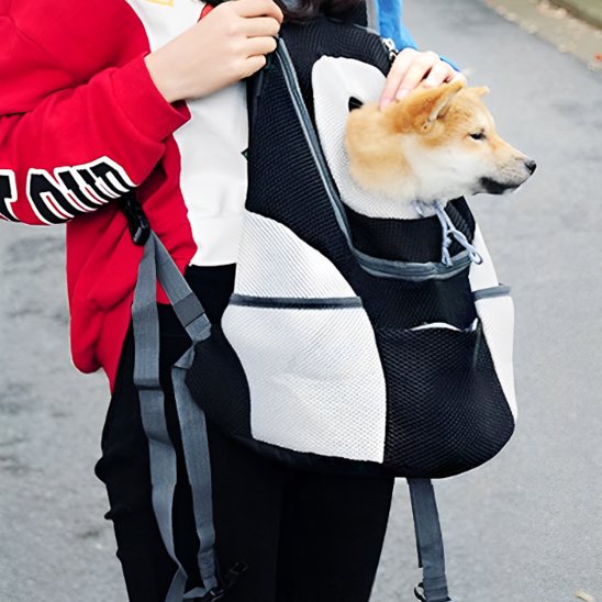 Sac à dos pour chien | Respirant & Sécurisé