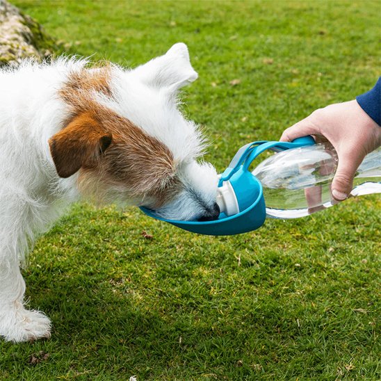 Gourde chien | Portable Anti-fuites