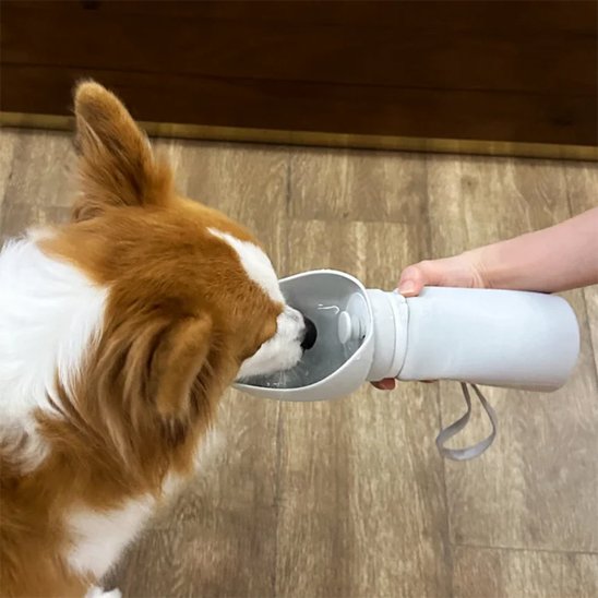 Gourde chien | Nomad 2-en-1