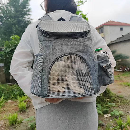 Sac à dos pour chien | Transport Aventure