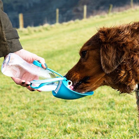 Gourde chien | Portable Anti-fuites