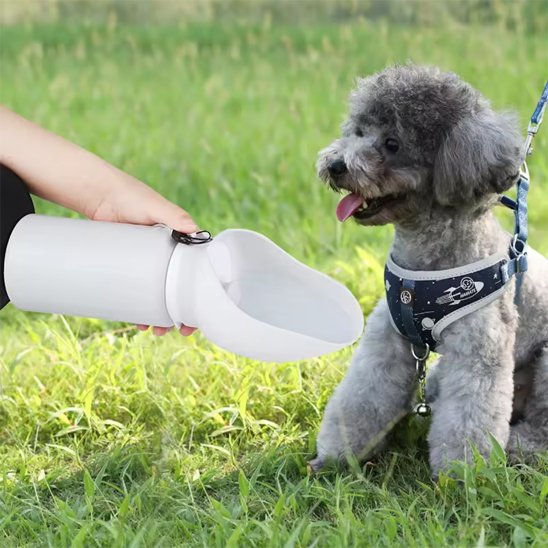 Gourde chien | Nomad 2-en-1