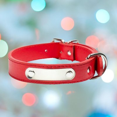 Collier Chien - LeatherDogCollar™ - Rouge - Le Royaume des toutous
