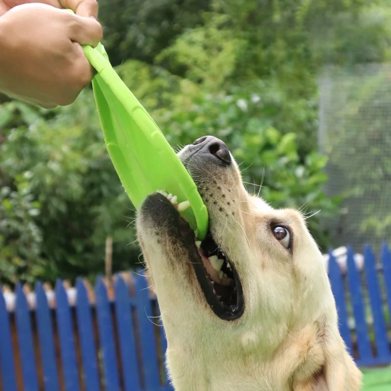 Frisbee - FlyDog™ - Vert - Le Royaume des toutous