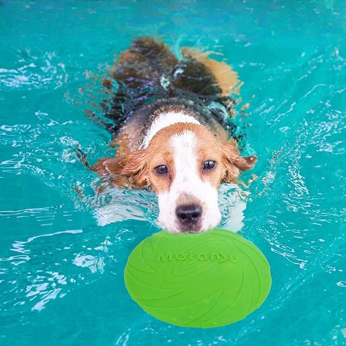 Frisbee - FlyDog™ - Vert - Le Royaume des toutous
