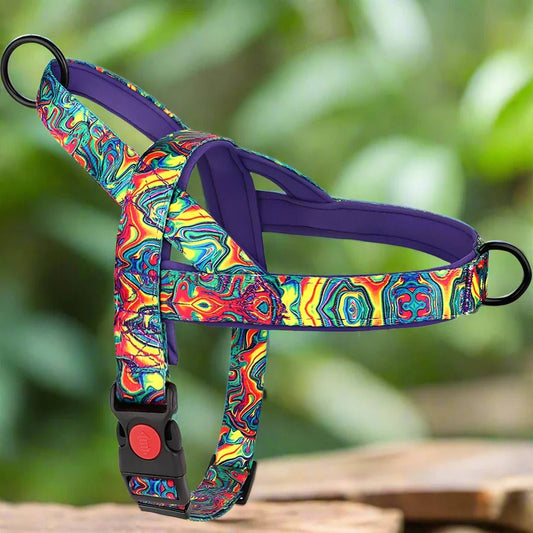 Harnais Chien - DogSafeHarness™ - Violet - Le Royaume des toutous