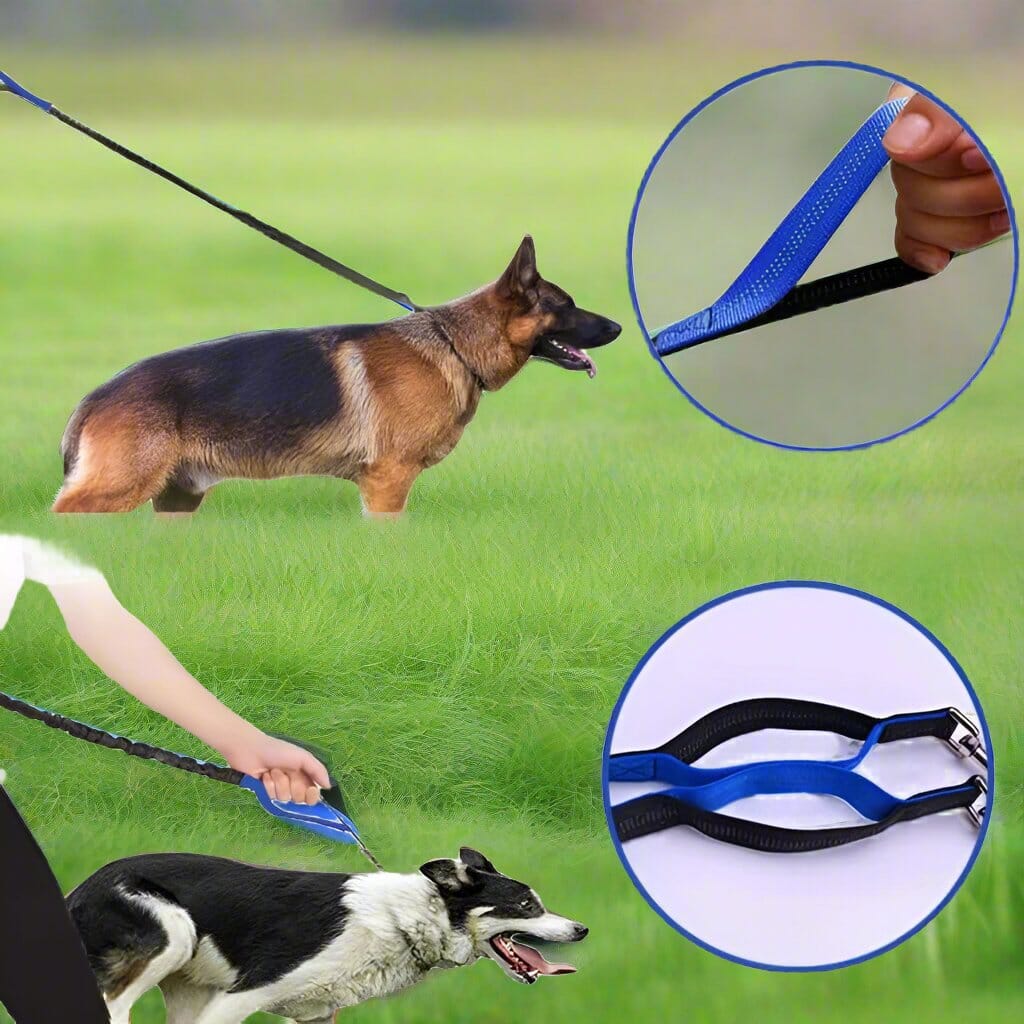 Laisse Chien - HandFreeDogLeash™ - Bleu - Le Royaume des toutous