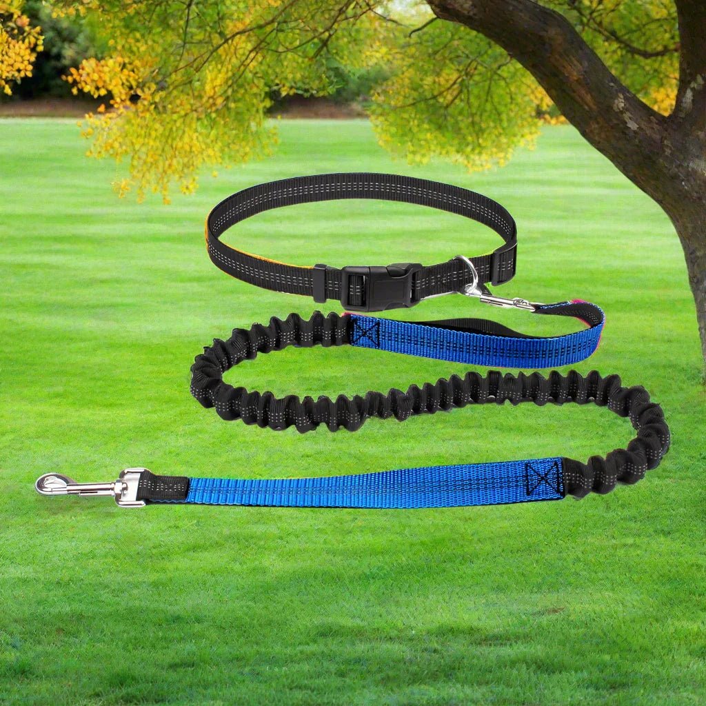 Laisse Chien - HandFreeDogLeash™ - Bleu - Le Royaume des toutous