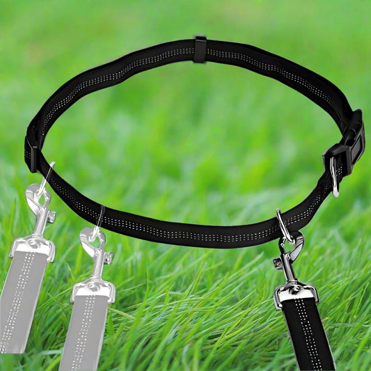 Laisse Chien - HandFreeDogLeash™ - Noir - Le Royaume des toutous