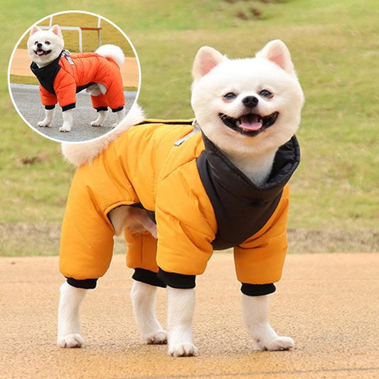 Manteau chien imperméable 4 pattes | Spitz Winter