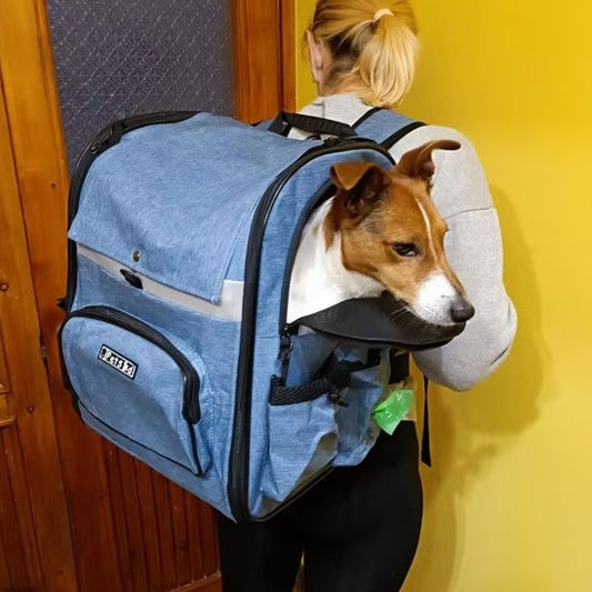 Sac de transport pour chien | Pets Ed