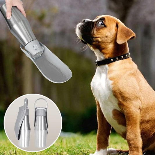 Gourde chien | Portable Pliable