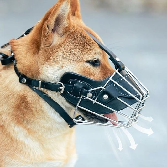 Muselière pour chien | Confort Secure