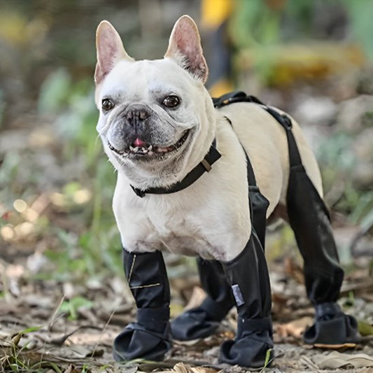 Bottes pour chien | Imperméables