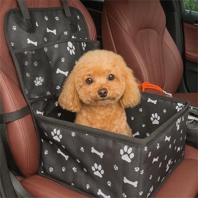 Siege auto chien | PremiumSafe