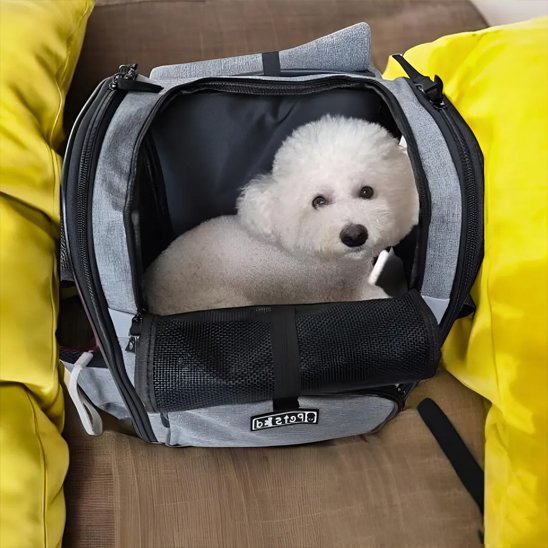 Sac de transport pour chien | Pets Ed