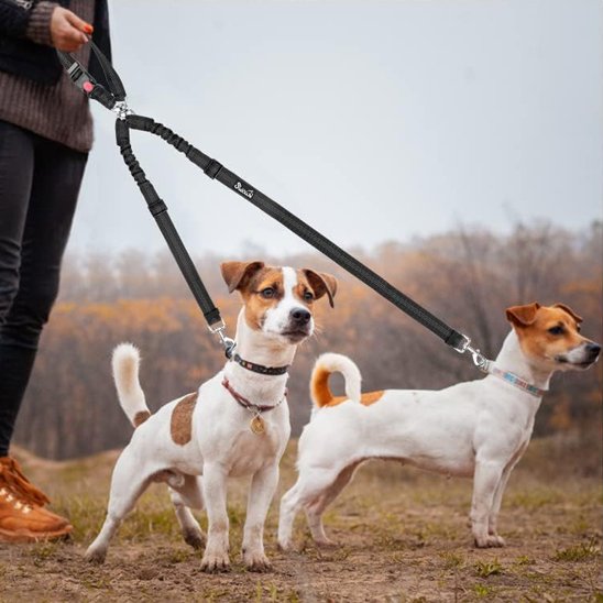 Double laisse pour chien | PromenEasy