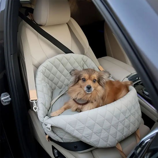 Sac de transport pour chien | Securitravel